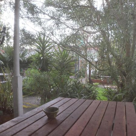 Oasis accommodation Opotiki Esterno foto