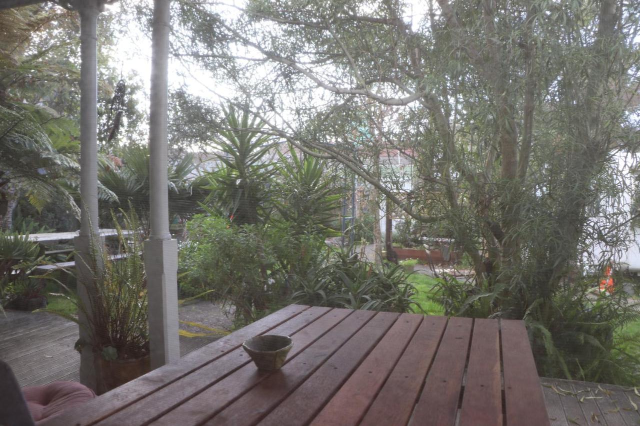 Oasis accommodation Opotiki Esterno foto